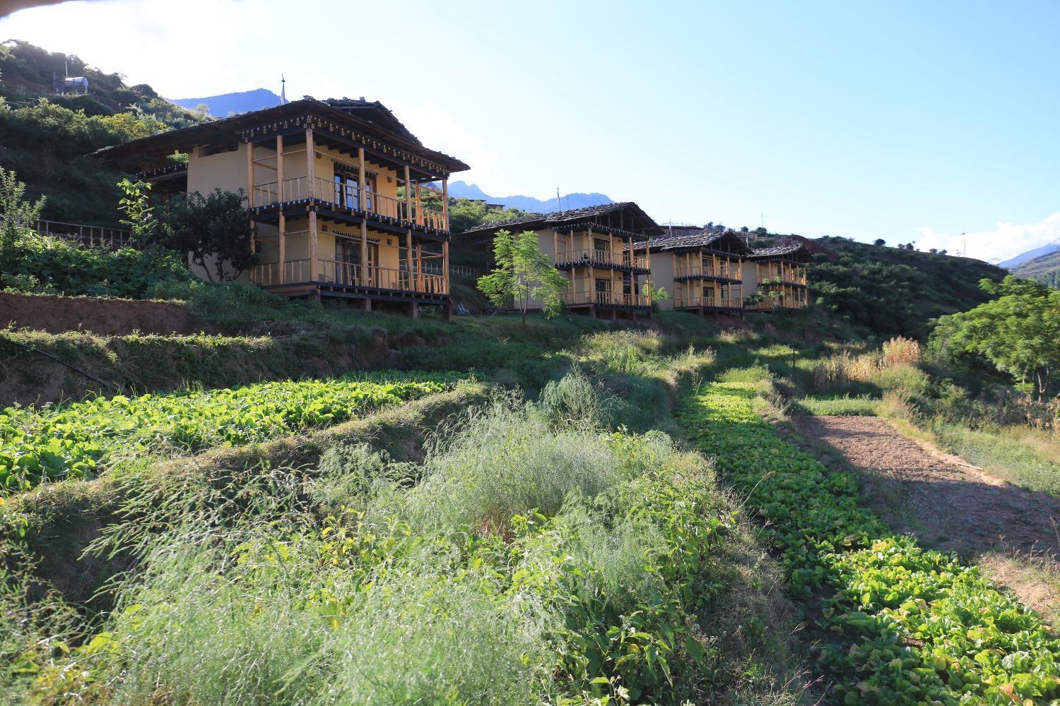 Wangdue Ecolodge Wangdue Phodrang Exterior photo
